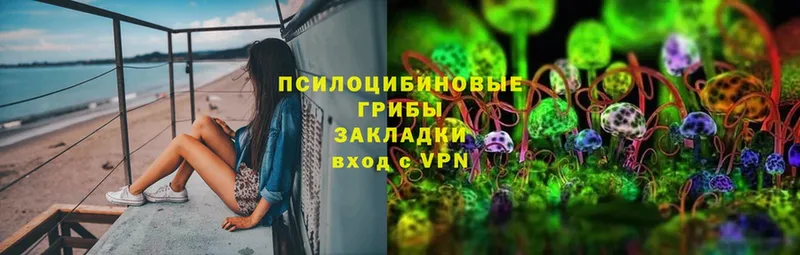 Галлюциногенные грибы ЛСД  цена   mega рабочий сайт  Долинск 